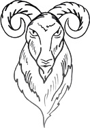 Le bouc, emblème d'Akerbeltz